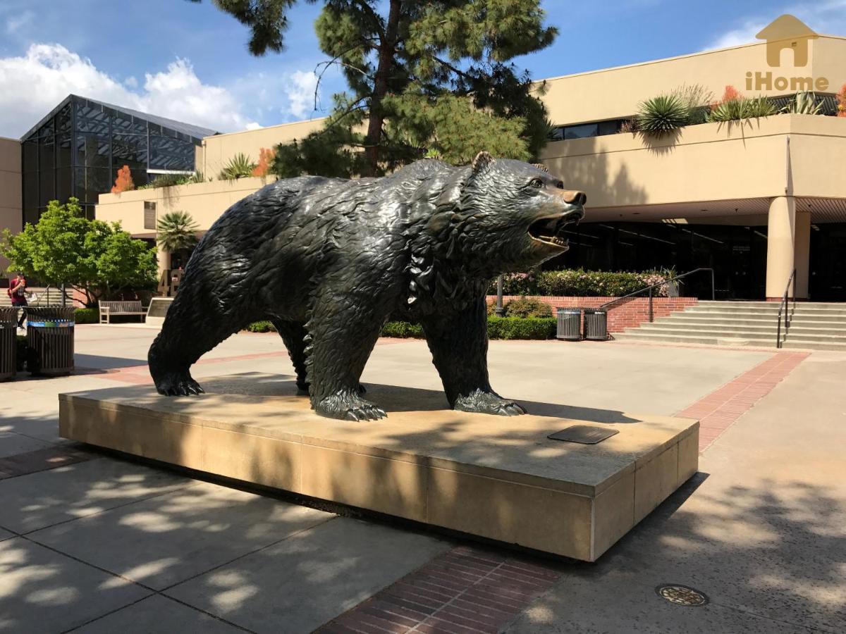 Perfect Apt Near Ucla W Parking Gym Pool Wifi In Westwood B3 Los Angeles Bagian luar foto